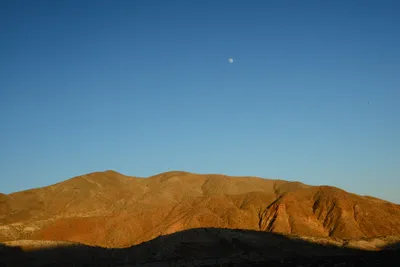 DSC_0270 (Large).JPG